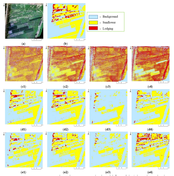 2d34e613428740a796181a774ecb5f9e.png image.png